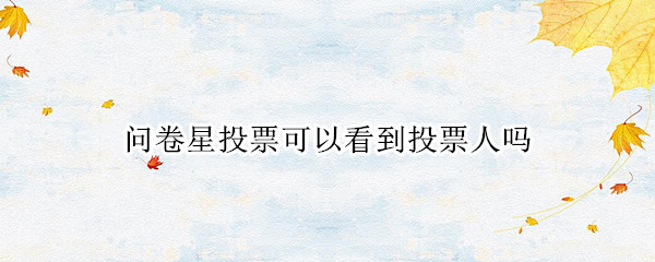 问卷星投票可以看到投票人吗（问卷星可以看到投票人的信息吗）