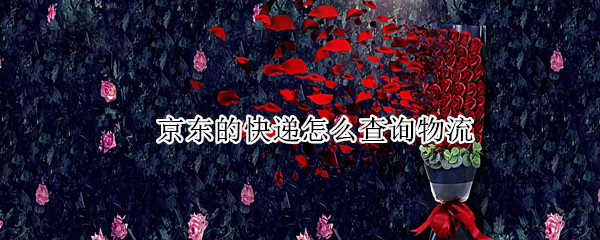 京东的快递怎么查询物流 京东的快递怎么查询物流到哪了