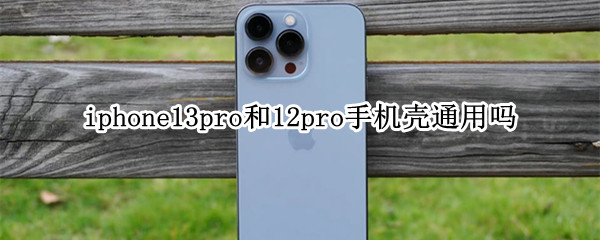 iphone13pro和12pro手机壳通用吗（iPhone13pro和12pro手机壳）