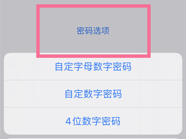 苹果设备锁在哪里设置