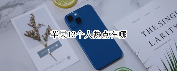 苹果13个人热点在哪（苹果13个人热点在哪设置）