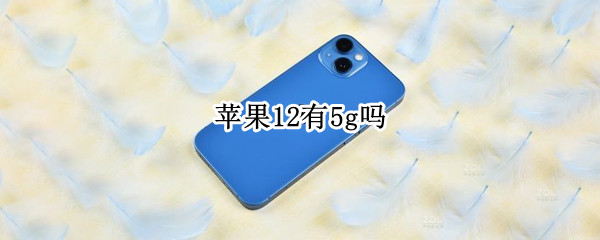 苹果12有5g吗（苹果12有5G吗?）