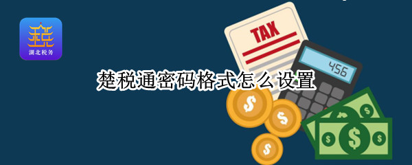 楚税通密码格式怎么设置