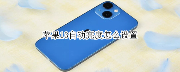 苹果13自动亮度怎么设置（苹果13怎么设置屏幕亮度）
