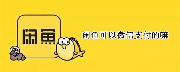闲鱼可以微信支付的嘛 闲鱼可用微信支付么