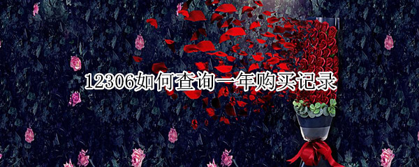 12306如何查询一年购买记录（12306如何查询一年购买记录时间）