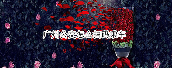广州公交怎么扫码乘车（广州公交怎么扫码乘车微信）