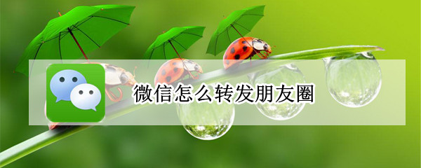微信怎么转发朋友圈（微信怎么转发朋友圈的图片和文字）