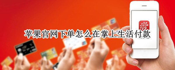 苹果官网下单怎么在掌上生活付款 苹果官网下单后怎么在掌上生活付款