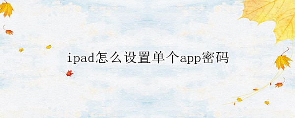 ipad怎么设置单个app密码（苹果ipad怎么设置单个app密码）