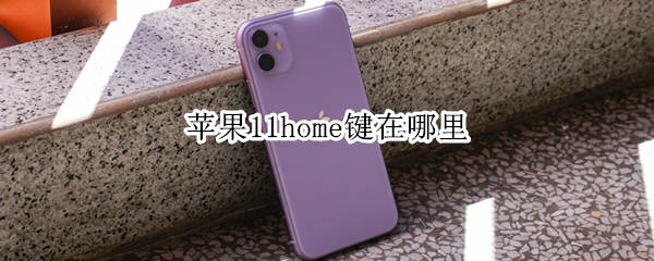 苹果11home键在哪里 苹果11home键在哪里关闭