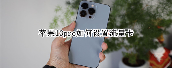 苹果13pro如何设置流量卡 苹果13promax怎么设置流量