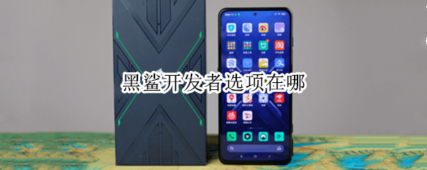 黑鲨开发者选项在哪（黑鲨一开发者模式在哪）