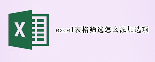 excel表格筛选怎么添加选项（excel表格筛选怎么添加选项加减）