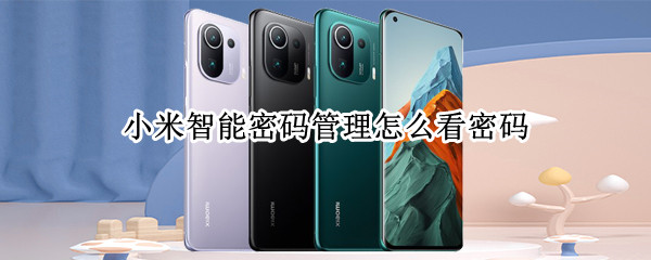 小米智能密码管理怎么看密码（小米密码管家怎么看密码）