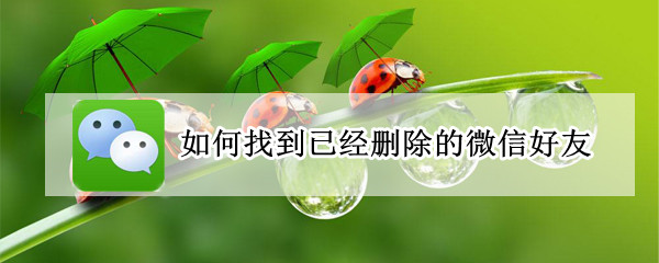 如何找到已经删除的微信好友（如何找到已经删除的微信好友群）