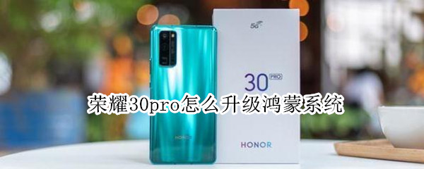 荣耀30pro怎么升级鸿蒙系统 荣耀30pro怎么升级鸿蒙系统怎么样