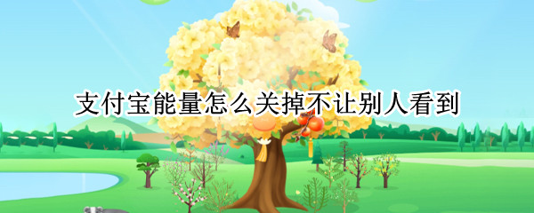 支付宝能量怎么关掉不让别人看到（怎么把支付宝能量关掉）