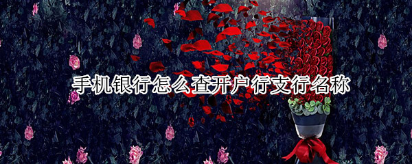 手机银行怎么查开户行支行名称（手机银行怎么查开户行支行名称 农商行）
