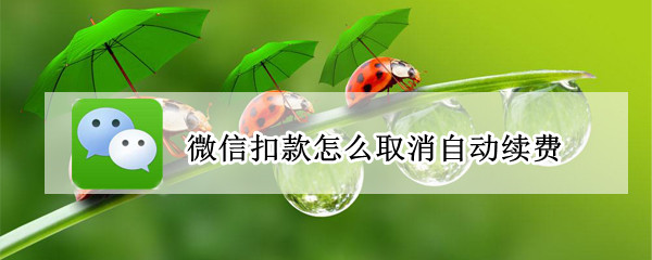微信扣款怎么取消自动续费 微信扣款怎么取消自动续费服务
