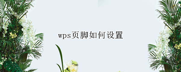 wps页脚如何设置（wps页脚如何设置页数）