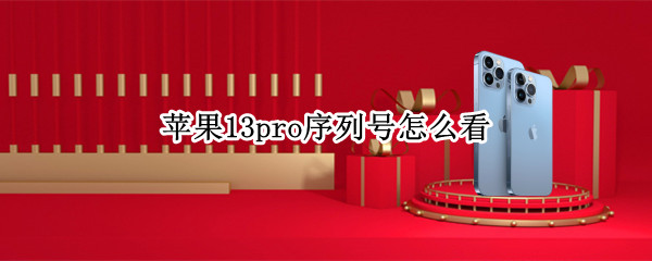 苹果13pro序列号怎么看（苹果13pro序列号怎么看出是哪个工厂产的）