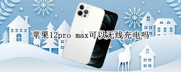 苹果12pro（苹果12promax详细参数）
