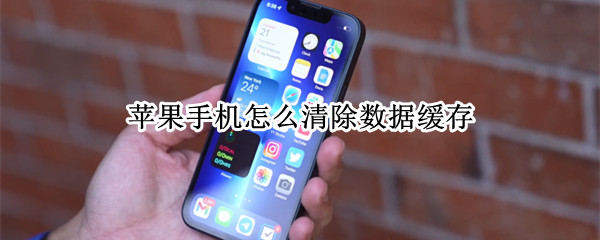 苹果手机怎么清除数据缓存（苹果手机怎么清除数据缓存文件）