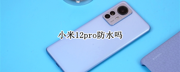 小米12pro防水吗（小米11pro的防水）