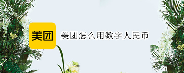 美团怎么用数字人民币（美团怎么用数字人民币支付）