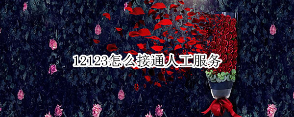 12123怎么接通人工服务 12123怎么接通人工服务电话