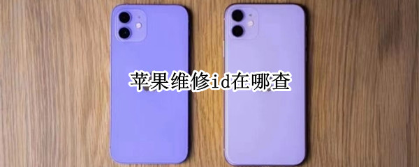 苹果维修id在哪查（iphone的维修id怎么查询）