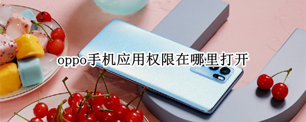 oppo手机应用权限在哪里打开 oppo手机应用权限在哪里打开colors5.1版本