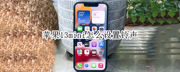 苹果13mini怎么设置铃声 苹果13怎么设置闹铃铃声