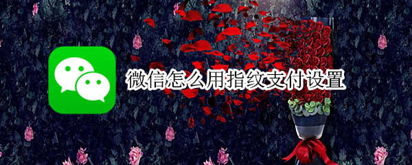 微信怎么用指纹支付设置（微信怎么用指纹支付设置vivo）