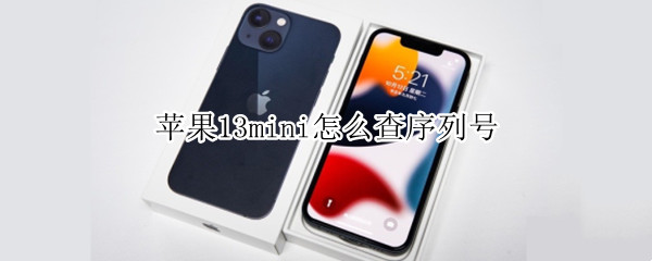 苹果13mini怎么查序列号 苹果13mini怎么查序列号和激活时间