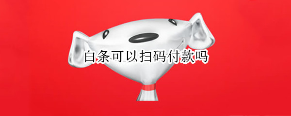 白条可以扫码付款吗 白条可以扫码付款吗