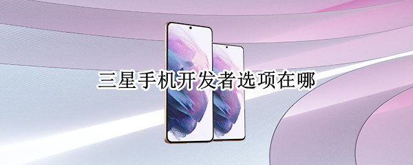 三星手机开发者选项在哪（三星手机开发者选项在哪里关闭）