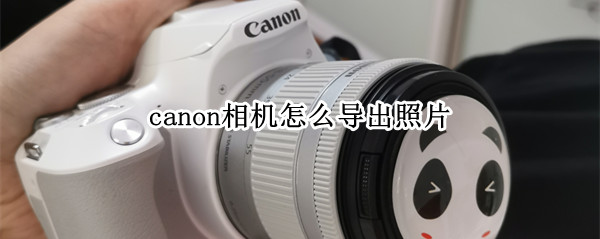 canon相机怎么导出照片 canon相机怎么导出照片到手机软件
