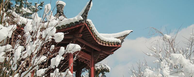 下雪幽默句子 下雪的幽默文案