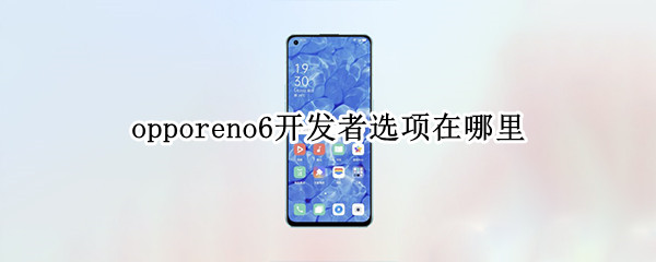 opporeno6开发者选项在哪里 opporeno6开发者选项在哪里关闭