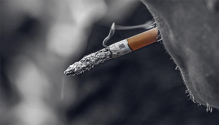 芙蓉王真假辨别  芙蓉王的真假辨别