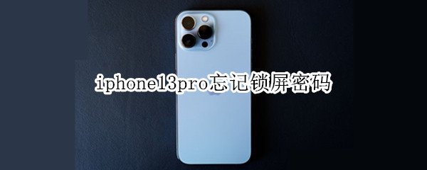 iphone13pro忘记锁屏密码 iphone13锁屏密码忘记了