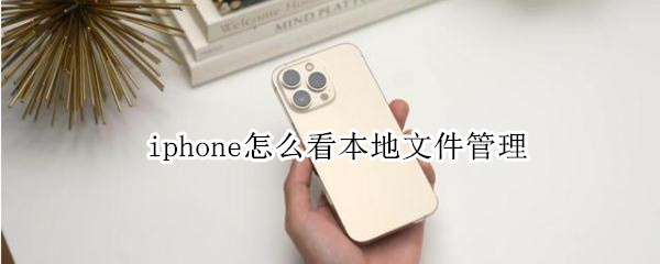 iphone怎么看本地文件管理（iphone怎么看微信文件管理）