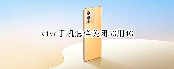 vivo手机怎样关闭5G用4G（vivo手机如何关闭5G）
