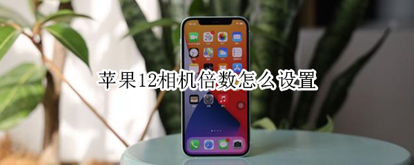 苹果12相机倍数怎么设置（苹果12手机相机倍数设置）