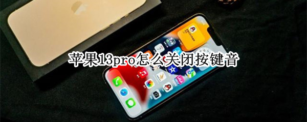 苹果13pro怎么关闭按键音（苹果13pro关闭按键音为什么还有声音）