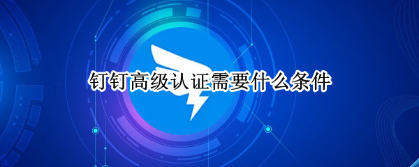 钉钉高级认证需要什么条件 钉钉高级认证怎么搞
