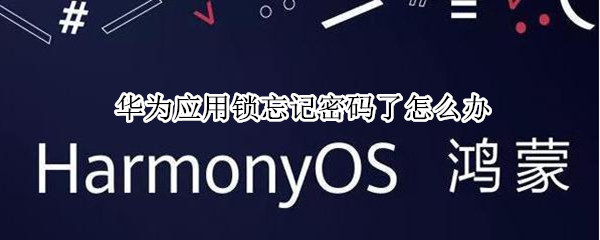 华为应用锁忘记密码了怎么办（华为应用锁忘记密码了怎么办,不刷机）