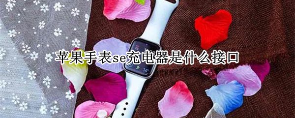 苹果手表se充电器是什么接口 苹果手表se充电器是什么接口